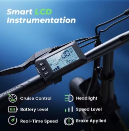 Rower elektryczny Hulajnoga elektryczna iscooter EB1 500W